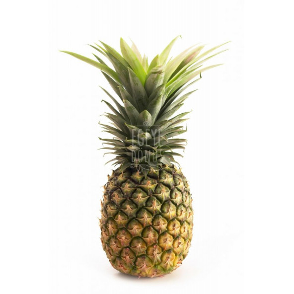 Ananas Meyve Kurusu Cipsi - 25 Gr. - Kavanoz Görünümlü Kilitli Poşet - Kilitli Saklama Poşeti - 3