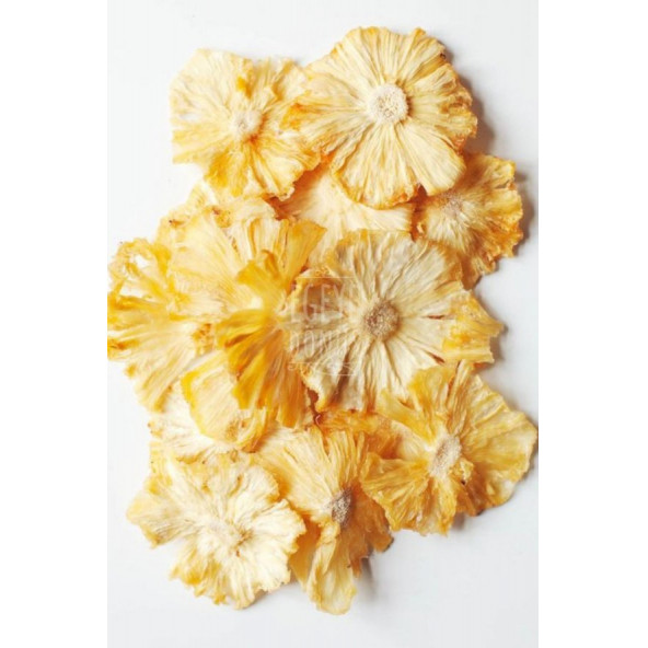 Ananas Meyve Kurusu Cipsi - 25 Gr. - Kavanoz Görünümlü Kilitli Poşet - Kilitli Saklama Poşeti - 6