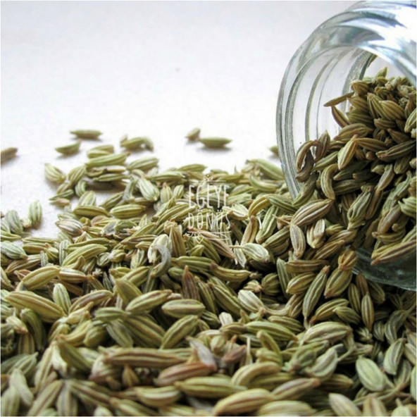 Rezene Çayı (Anne - Bebek Bitki Çayı) - 100 Gr. (1. Kalite) - 3