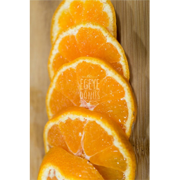 Şekersiz Mandalina Meyvesi Kurusu Cipsi - 50 Gr. (Yüksek Aroma - Kokteyl Meyvesi-Koruyucu İçermez) - 3
