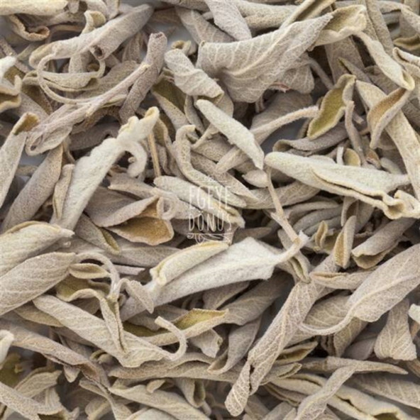 Ayıklanmış Sıyırma Tıbbi Adaçayı (Yaprak) - 30 Gr. 1. Kalite (Bitki Çayı - Yüksek Aroma) - 6