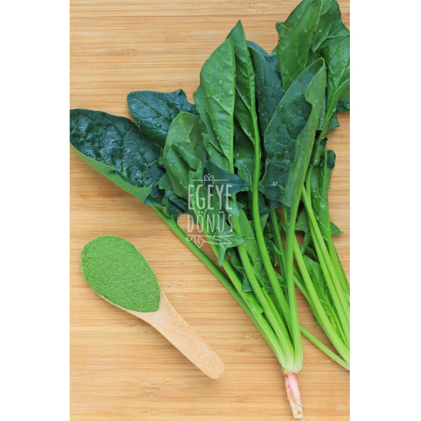 Glutensiz Ispanak Tozu - 100 Gr. (Yüksek Aroma - Renk Verici - Katkı Koruyucu İçermez) - 3
