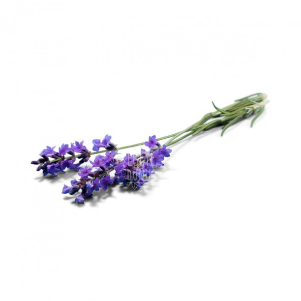 Saf Lavanta Yağı - 20 Ml. (Aromatik - Masaj - Cilt Bakım) - 3