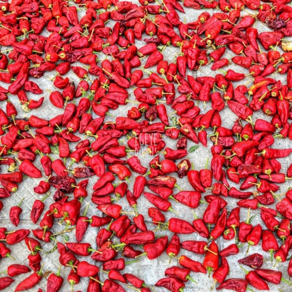 Yeni Mahsül Öğütülmüş Kırmızı Toz Biber - 500 Gr. 1. Kalite Doğal Aroma ve Renk Verici - 3