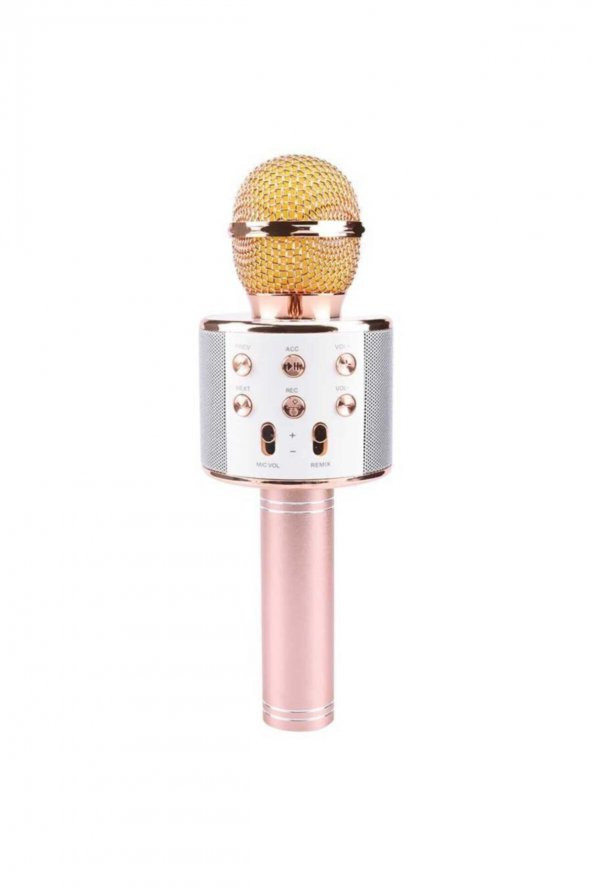 Zore Ws-858 Karaoke Mikrofon