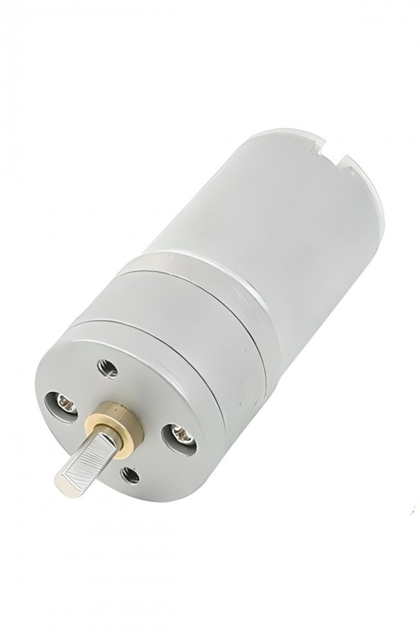 25mm 12v 500rpm Redüktörlü Dc Motor