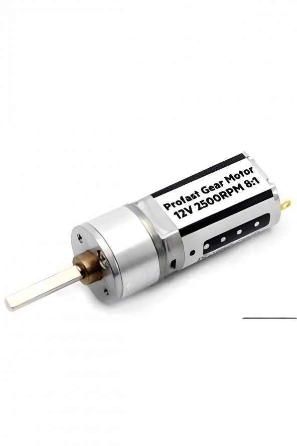 Profast 12v 2500rpm Dc Motor Jsumo
