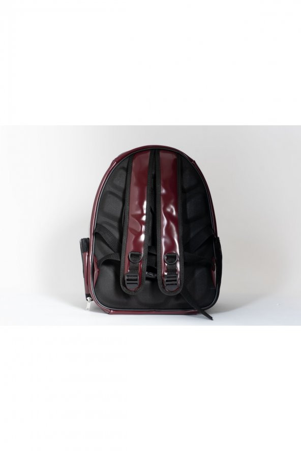 Şeffaf Astronot Kedi Köpek Taşıma Çantası 42x22x33 Cm Lugan BORDO - 4