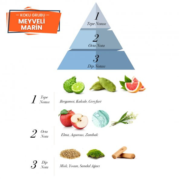 Prova P.12. Black Meyveli-Marin Erkek Parfüm 120 ml - 2