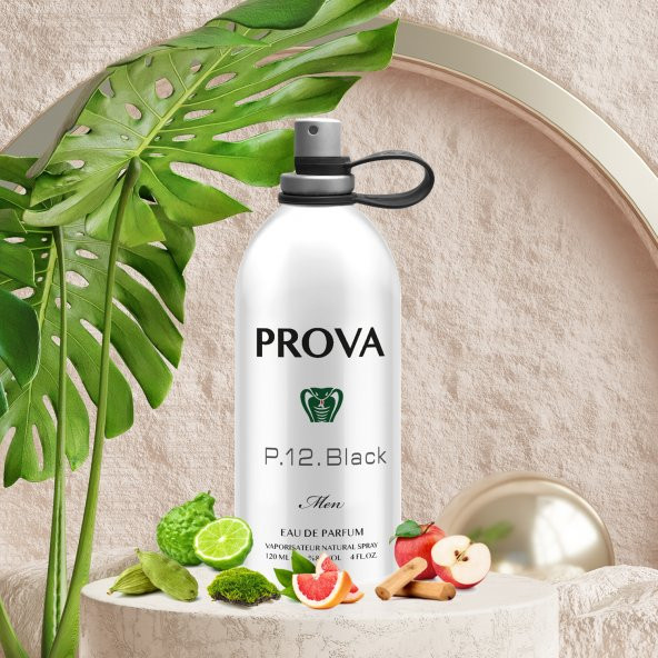 Prova P.12. Black Meyveli-Marin Erkek Parfüm 120 ml - 4