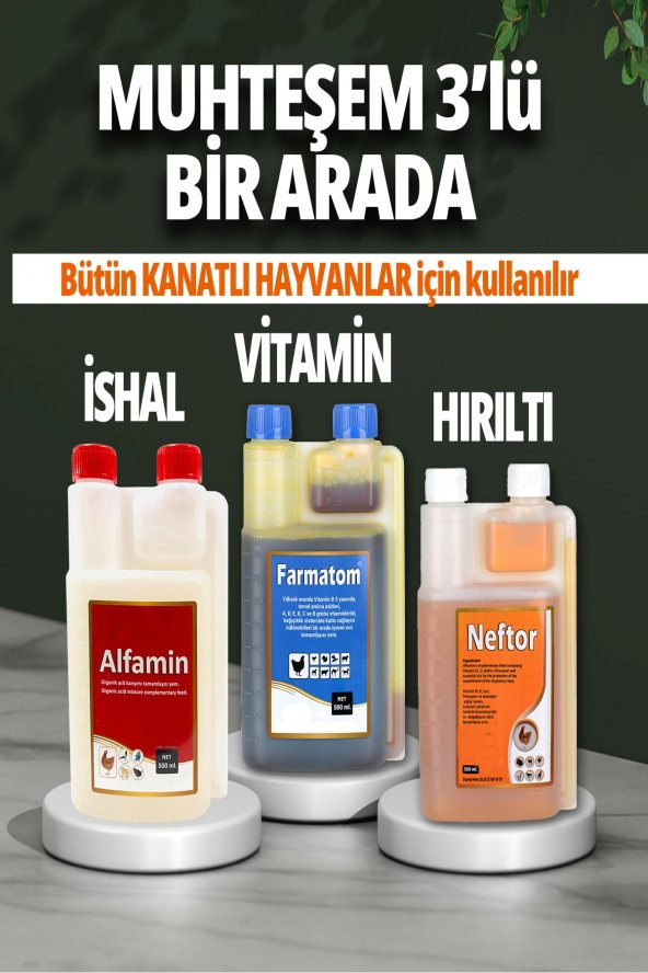 3lü Set Kuşlar Için Farmatom Vitamin Alfamin Ishal Neftor Hırıltı Seti (500 ML)