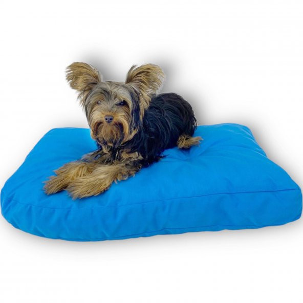 Lux Blue Köpek Minderi Köpek Yatağı - 2