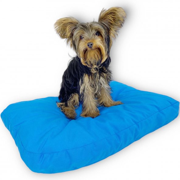 Lux Blue Köpek Minderi Köpek Yatağı - 3