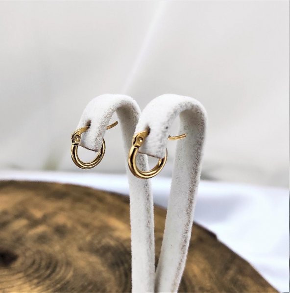 316L CERRAHİ ÇELİK ARKASI KAPALI 10 MM GOLD KAPLAMA VİP SERİ HALKA KÜPE-ÇEHAKÜ26 - 5