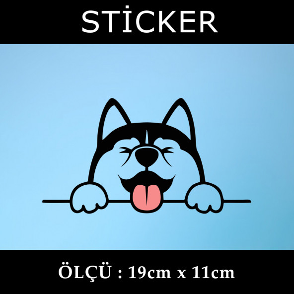 sevimli köpek -  2 ADET Sticker araba cam bagaj uyumlu et,ket kask motosiklet dolap cam uyumlu yapışkan ürün görseli