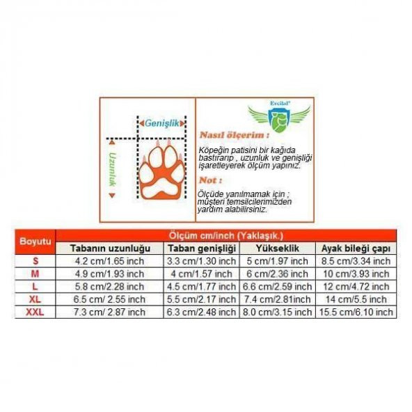 Durtaş Akvaryum ve Pet Cırt Cırtlı Silikonlu Kedi Köpek Ayakkabısı L Beden - 3
