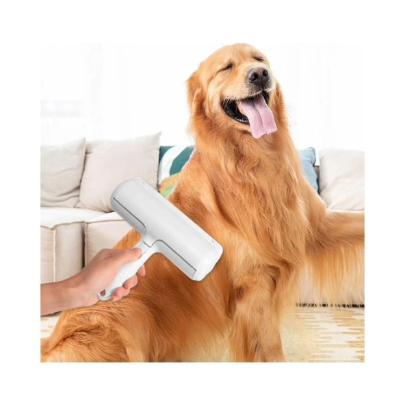 AGB Hazneli Kedi Köpek Evcil Hayvan Kazak Kıyafet Elbise Halı Yatak Tüy Temizleyici Kıl Toz Toplayıcı - 2