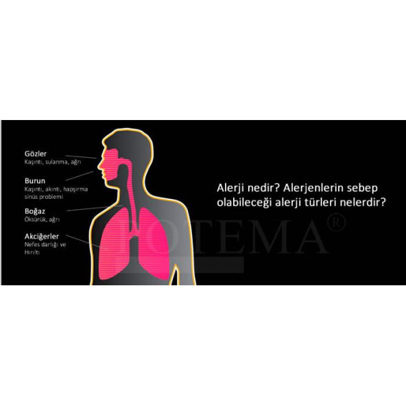 Potema Anti-Mite Akar Spreyi 330 ml Yatak Temizleme Spreyi (ev tozu akarları için özel) Mattress-Clean-Spray - 5