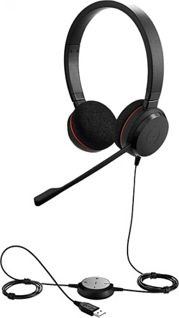 Jabra Evolve 20 Duo USB NC MS Kablolu Kulak Üstü Kulaklık - 1