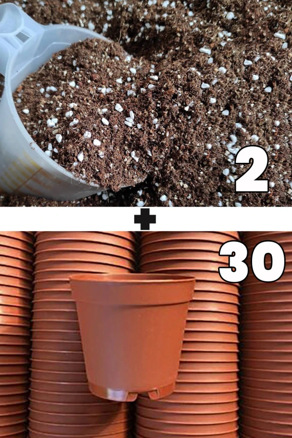 2 litre kaktüs sukulent yetiştirme toprağı ve 30 adet 5.5 cm kaktüs sukulent saksısı