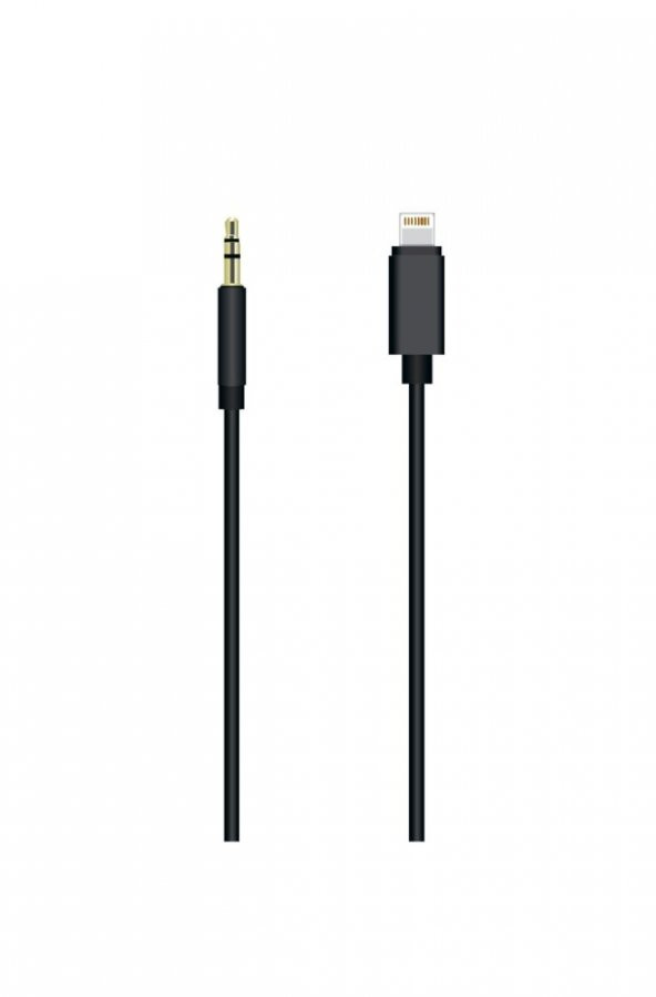 Sunix Ac-04 Lightning Aux Audio Kablo LIGHNING-AUX - 2