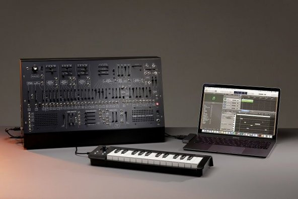 ARP 2600 M-LTD - Resim 4