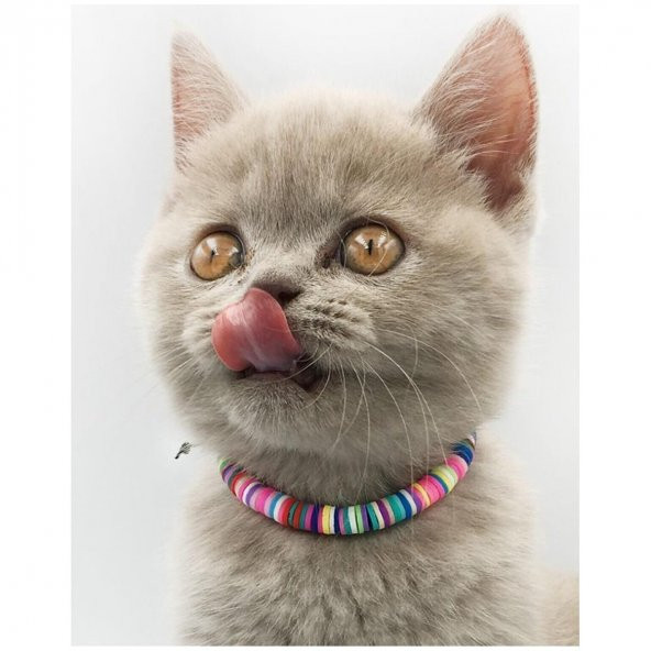 Karışık Renk Fimo Boncuk Kedi Tasması