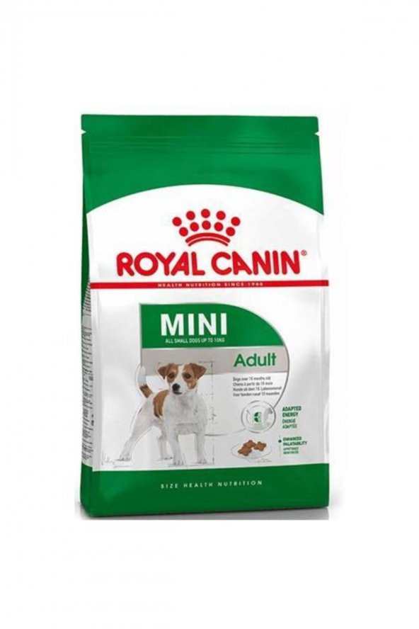 Royal Canin Mini Adult Yetişkin Köpek Maması 4 kg