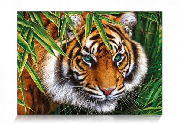 Star Oyun Kaplan Bakışı 500 Parça Puzzle - 2