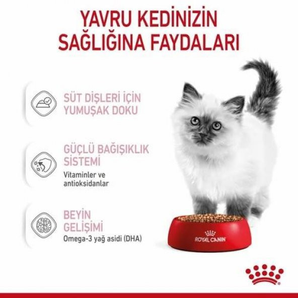 Royal Canin Kitten Yavru Kedi Yaş Maması 85 Gr 12 Li - 2