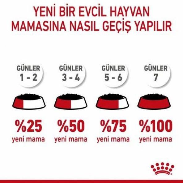 Royal Canin Kitten Yavru Kedi Yaş Maması 85 Gr 12 Li - 3