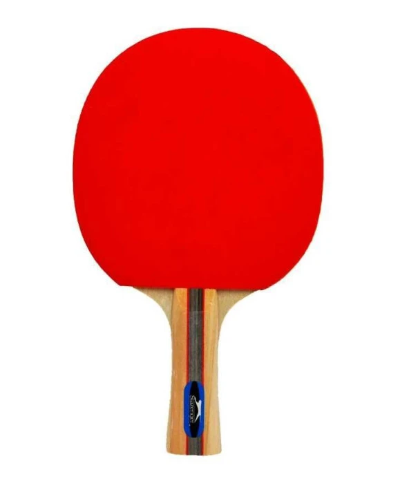 Slazenger Champion ITTF Onaylı Masa Tenisi Raketi - 2