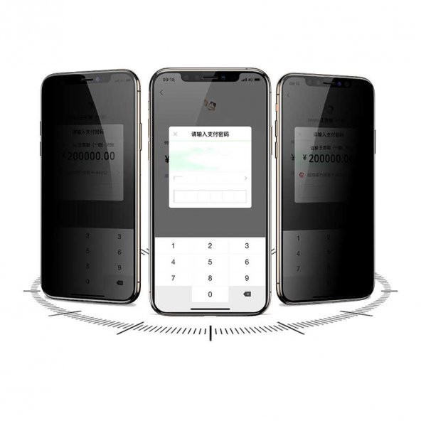 Apple iPhone 12 Pro Max Davin 5D Privacy Cam Ekran Koruyucu - 2