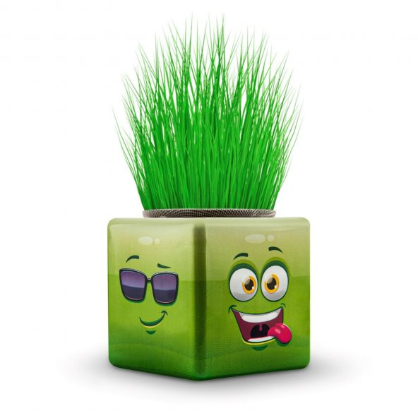 18li Karışık 3 Tarafı Emojili Figürlü Küp Çim Adamlar Okul Ve Okul Öncesi Hediyelik Çim Adam - 2