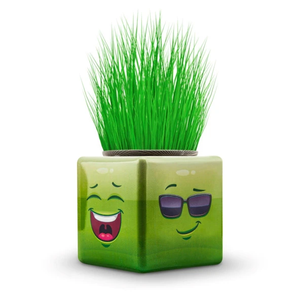 17li Karışık 3 Tarafı Emojili Figürlü Küp Çim Adamlar Okul Ve Okul Öncesi Hediyelik Çim Adam - 4