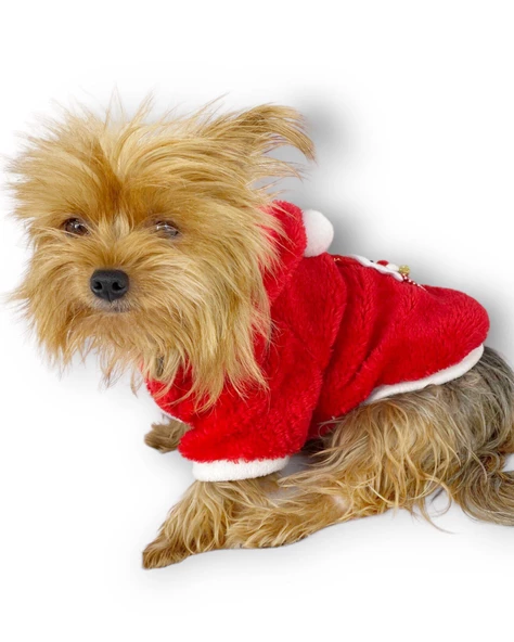 Santa Time Yılbaşı Köpek Sweatshirt, Noel Sweatshirt gold - 12