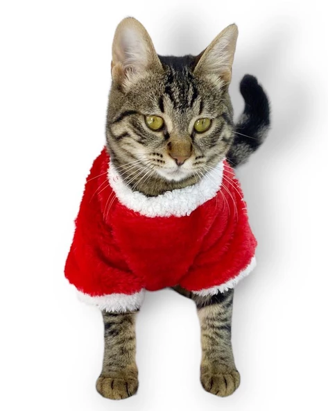 Cat Santa Bow Yılbaşı Kedi Sweati - 4