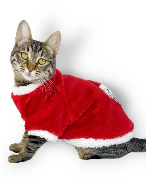 Cat Santa Bow Yılbaşı Kedi Sweati - 3