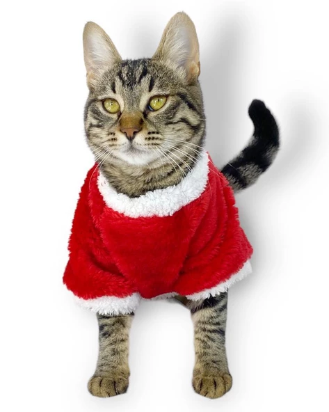 Cat Santa Bow Yılbaşı Kedi Sweati - 6