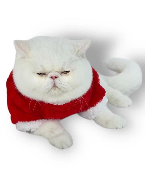 Cat Santa Bow Yılbaşı Kedi Sweati - 7