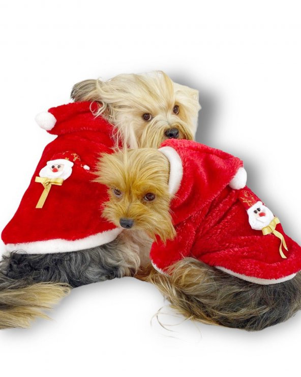 Gold Santa Yılbaşı Köpek Sweatshirt, Noel Sweatshirt - 2