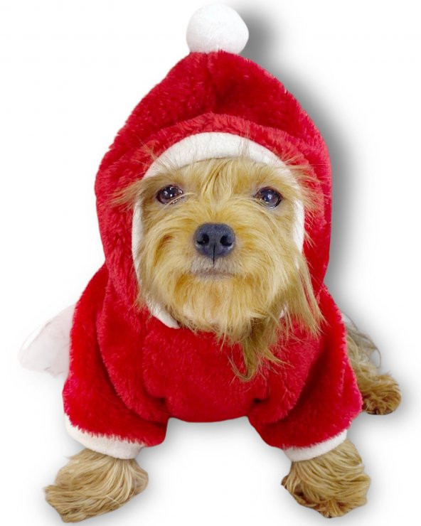 Gold Santa Yılbaşı Köpek Sweatshirt, Noel Sweatshirt - 4