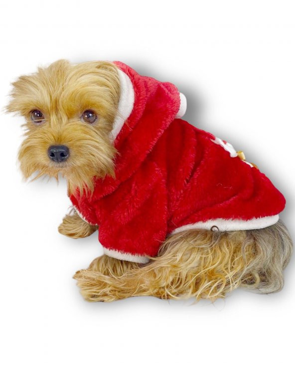 Gold Santa Yılbaşı Köpek Sweatshirt, Noel Sweatshirt - 5