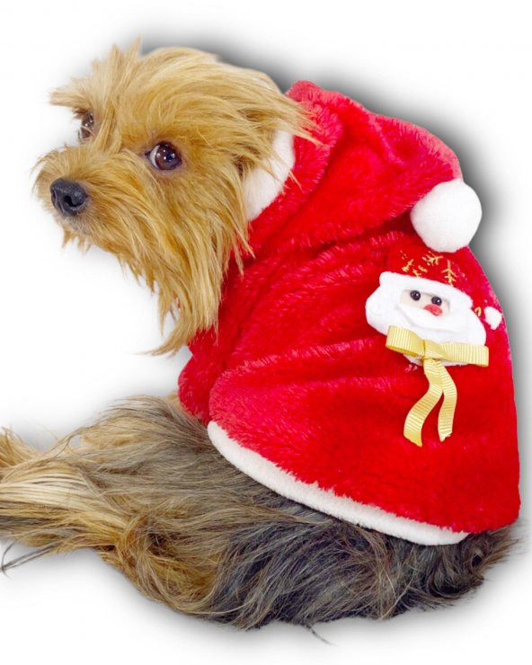 Gold Santa Yılbaşı Köpek Sweatshirt, Noel Sweatshirt - 7