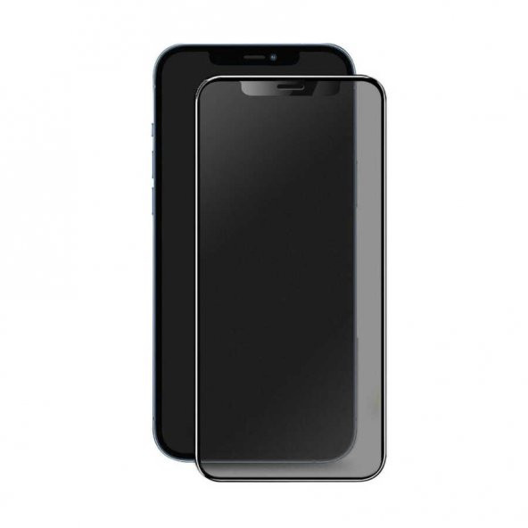 Apple iPhone 11 Pro Hayalet Ekran Koruyucu Davin Privacy Mat Seramik Ekran Filmi