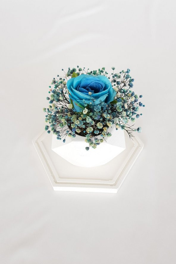 adresiburası Beton Saksıda Gül Cipso Aranjman Masa çiçeği Mavi