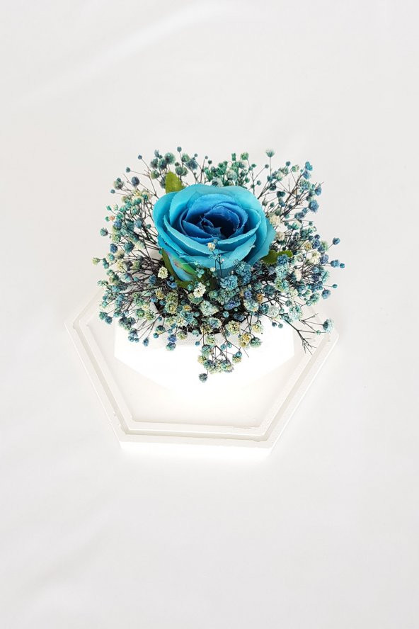 adresiburası Beton Saksıda Gül Cipso Aranjman Masa çiçeği Mavi - 2