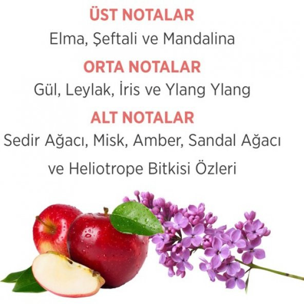 Emotion Romance EDT Kadın Parfüm 50 ml & Deodorant 150 ml - 3