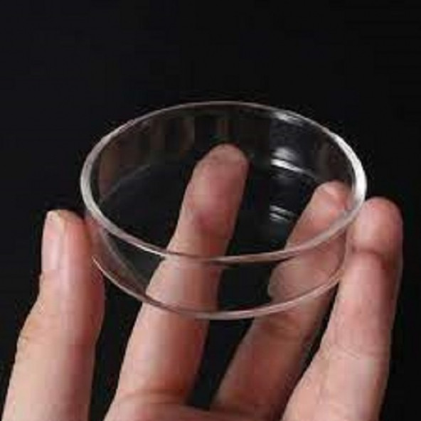 Karides yem Tabağı Cam 1 Adet 6-7 cm - 3