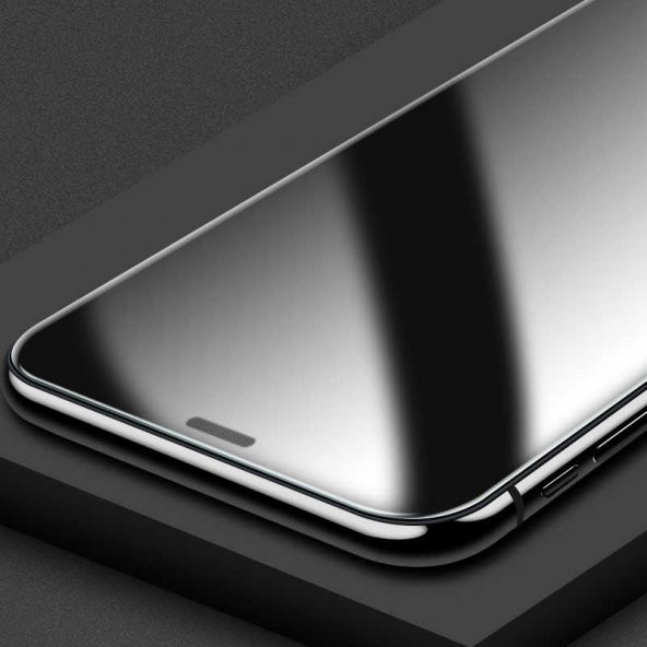Apple iPhone 11 Zore Anti-Dust Mat Privacy Temperli Ekran Koruyucu - 6